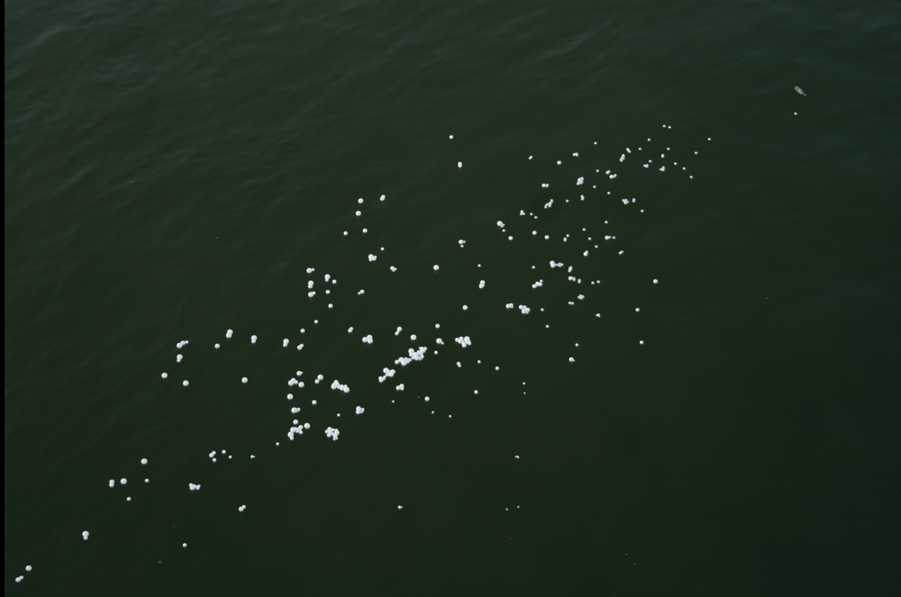 53. Oktobersalon, Belgrad,&nbsp;22.9.-4.11.2012