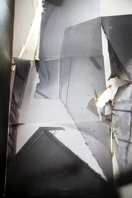 katharina_luedicke_splendid_isolation_detail