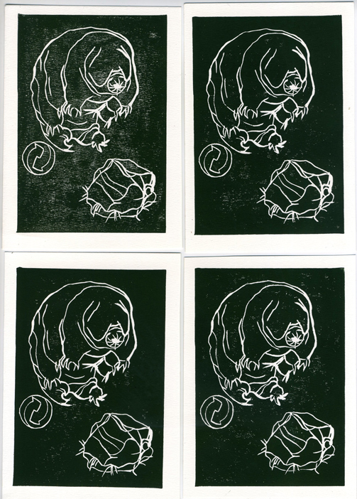 SilviaLorenz_tardigrade010-web