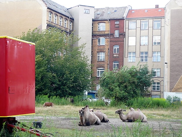 2007_07_22_Zirkus-auf-Brachfläche_ehemaliger-Todesstreifen-vor-Atelierhaus-Mengerzeile_FotoCSuhr